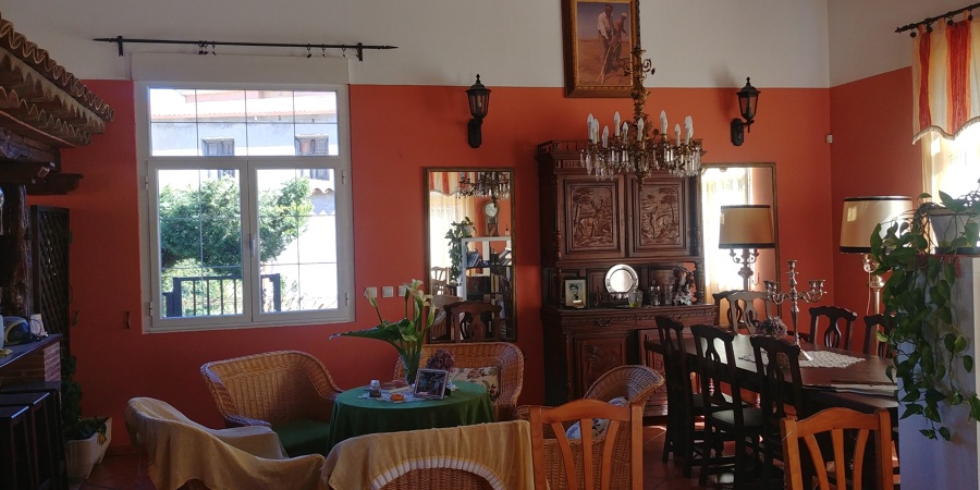Pintura paredes y techo salón