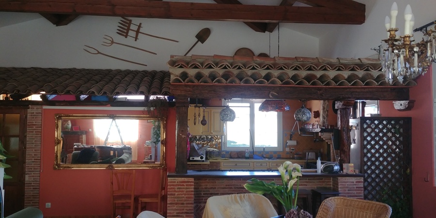Pintura paredes y techo salón