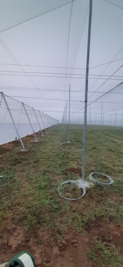 Construcción de invernadero tipo parral o casasombra  o umbraculo