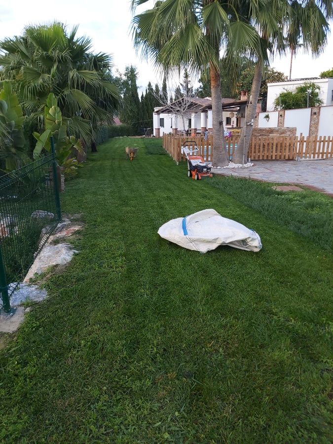 Mantenimiento de jardines y piscinas