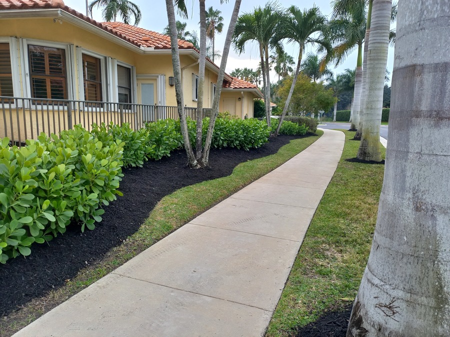 Mantenimiento de jardines