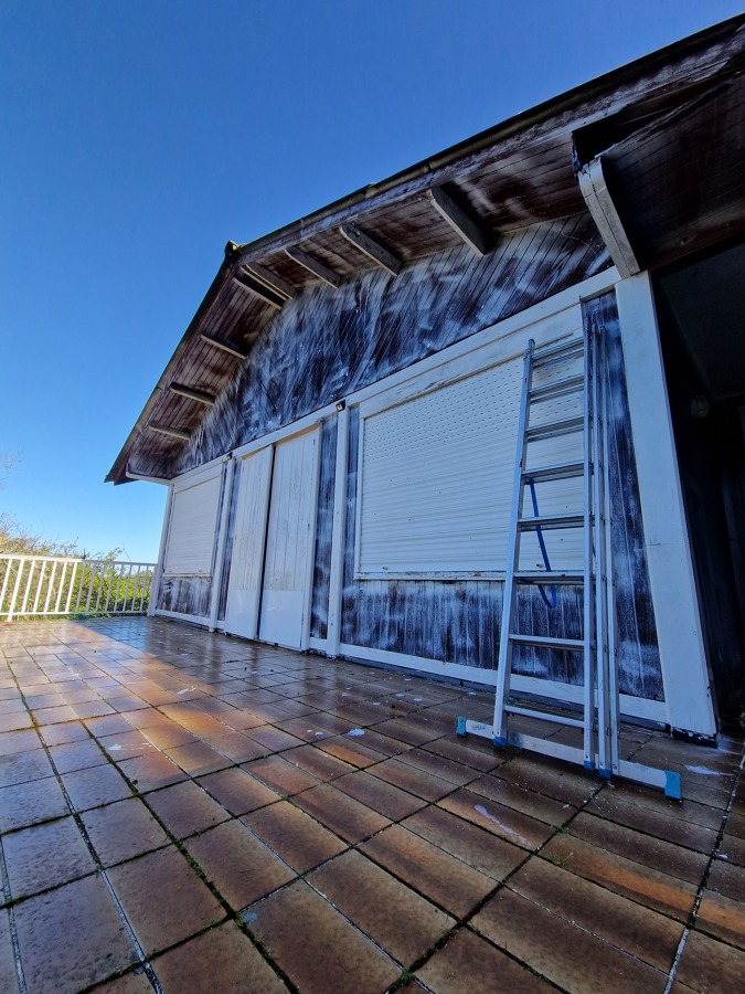 Tratamiento exterior contra Carcoma