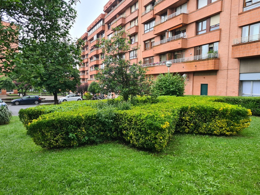 Diseño y paisajismo