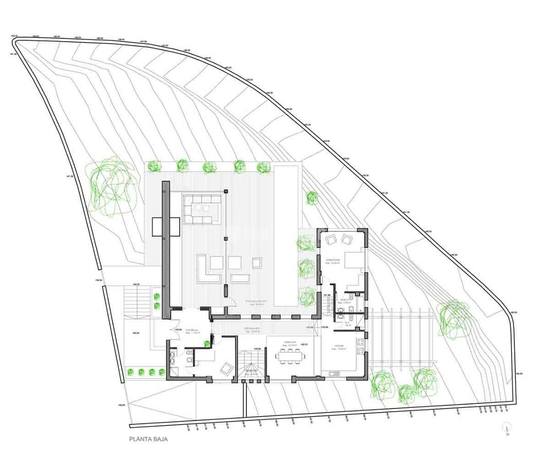 Arquitectos, Artículos Decoración, Paisajistas