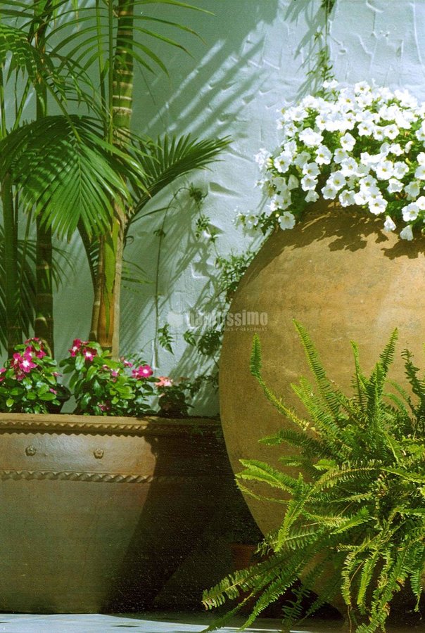 Paisajistas, Carpintería, Electricidad Iluminación