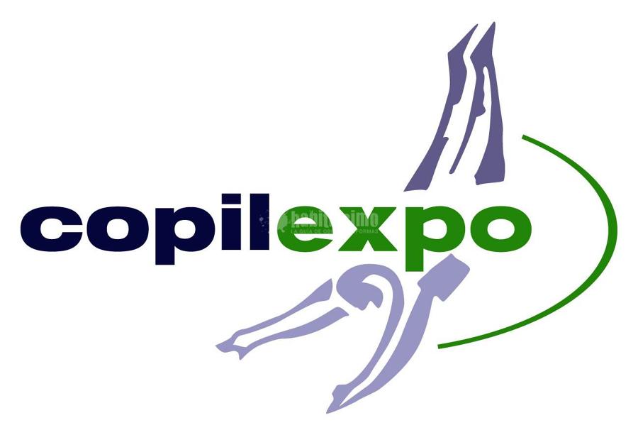 Construcción Piscinas, Tratamiento Aguas, Reformas Piscinas