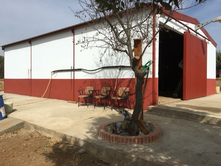 Restauración y pintado de fachada!