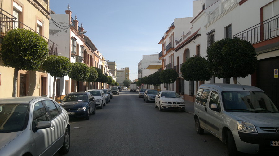 arboleda en calle betis