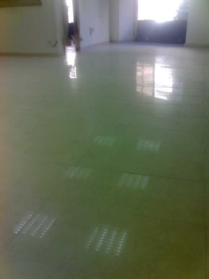 Suelo porcelana rectificado 