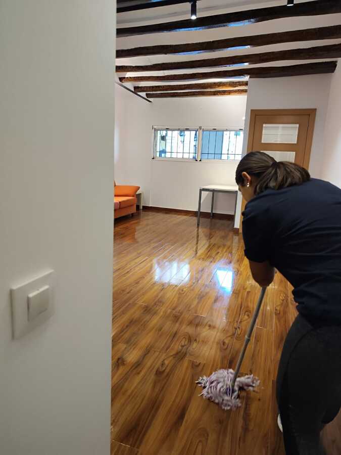 Limpieza Profesional