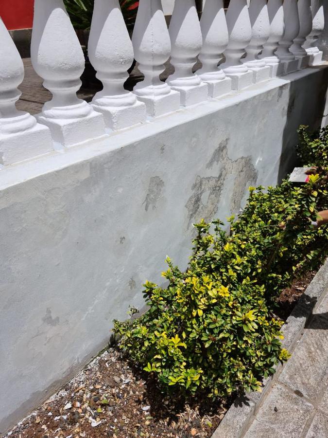 Reparación y pintura exterior de vivienda