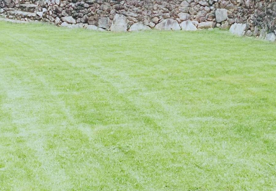 Mantenimiento de jardines.