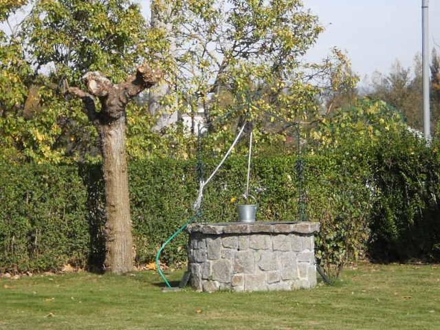 PODA DE SETO O RECORTE.FOTO 3 Y ARBOLADO.