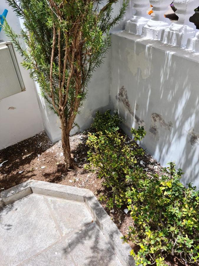 Reparación y pintura exterior de vivienda