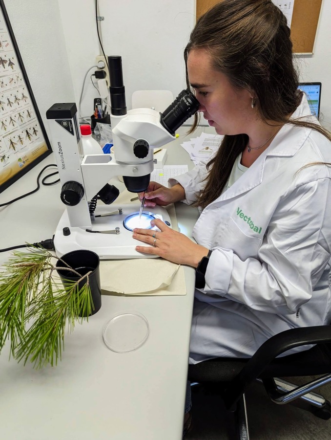 laboratorio vectobal