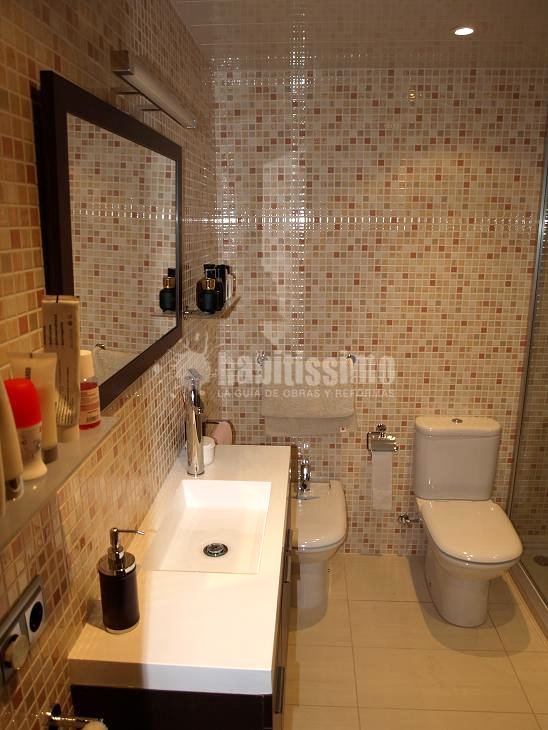 Rosés interiors reforma de un baño