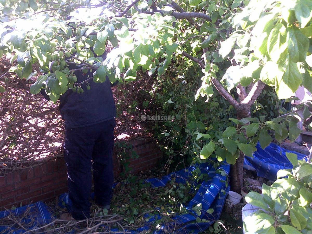 Limpieza, Manitas, Fontanería