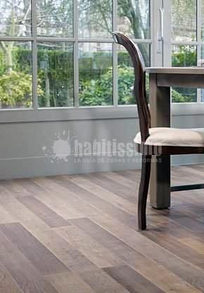 Parquetistas, Ventanas, Decoración