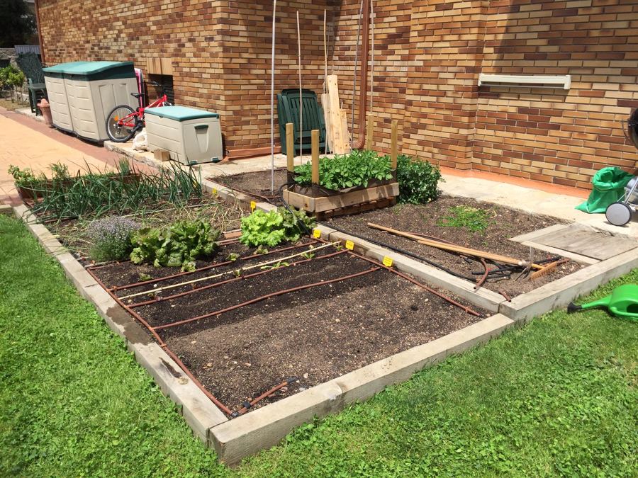 Creación de huerto ecológico