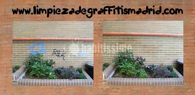 Limpieza, Limpieza Monumentos, Limpieza Graffitis