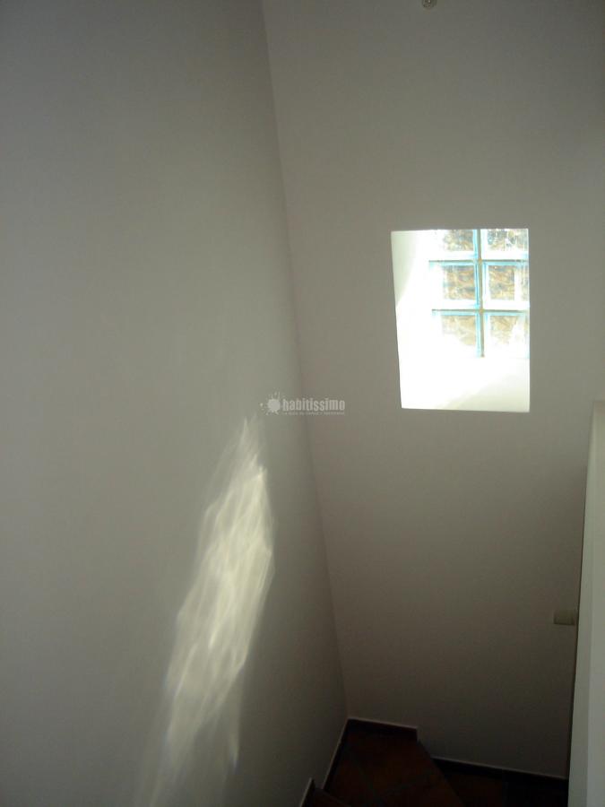 Yeseros, Alisado Paredes, Escayolistas