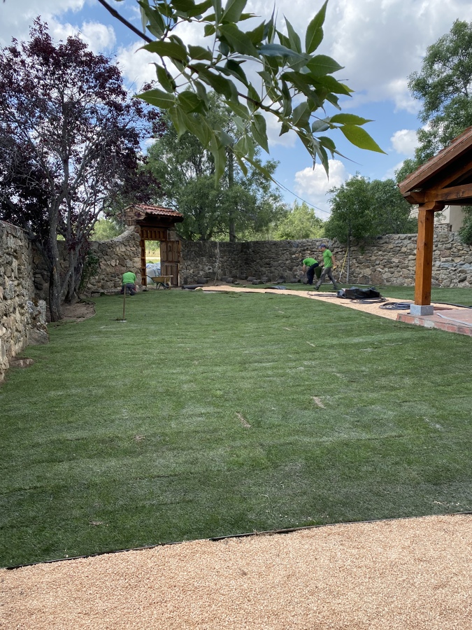 Especialistas en césped natural