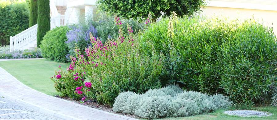 Fresh Garden Jardinería en Torrelodones