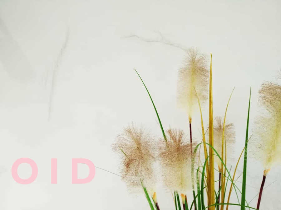 Pared de Microcemento