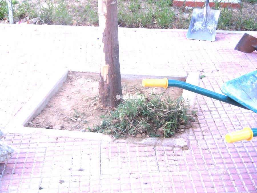 Reformas Viviendas, Fontanería, Decoracion Escayolas