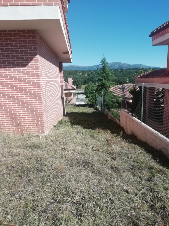 Desbroce de parcela desbrozada