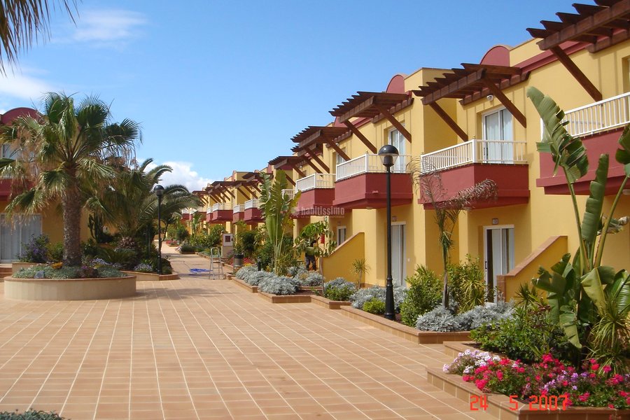 Pintores, Pintura Decoración, Obras Menores