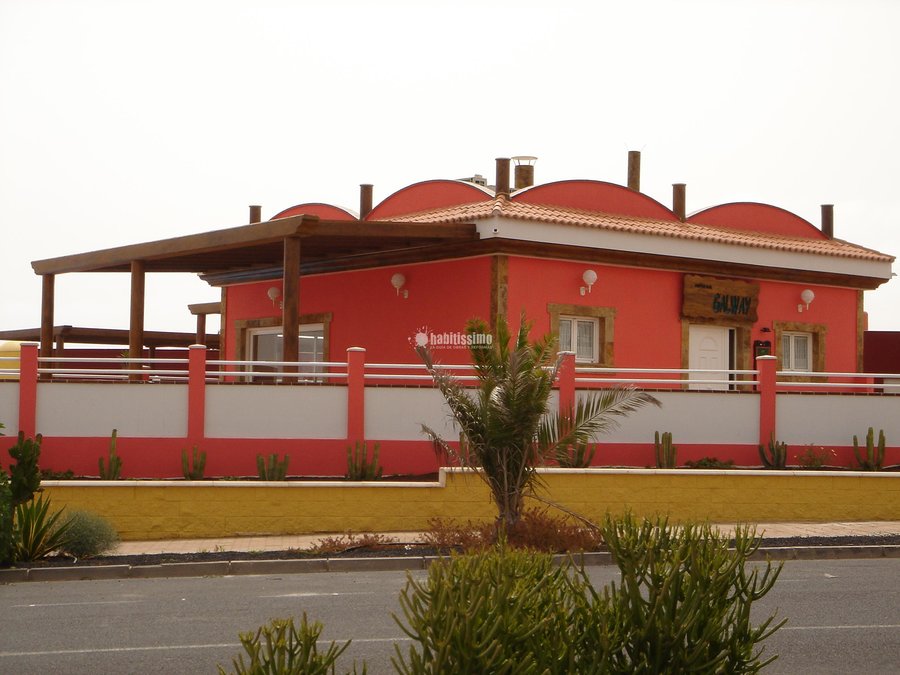 Pintores, Pintura Decoración, Obras Menores