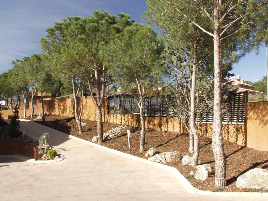 Paisajistas, Artículos Decoración, Diseño Jardines