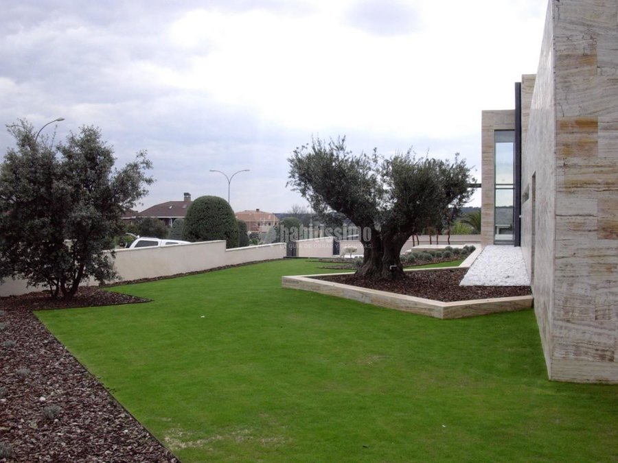 Paisajistas, Mantenimiento Jardines, Podas