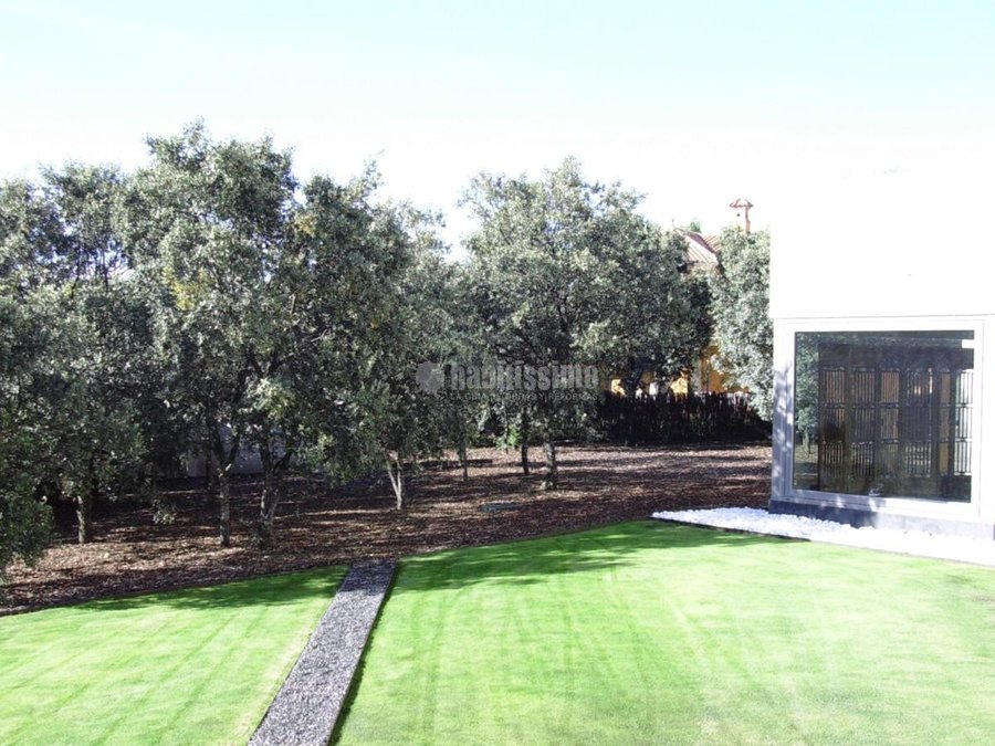 Paisajistas, Mantenimiento Jardines, Artículos Decoración