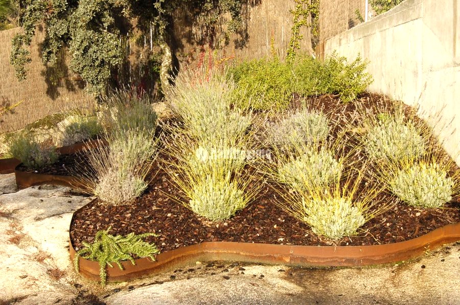 Paisajistas, Técnicos, Diseño Jardines