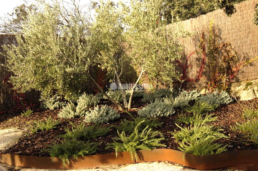 Paisajistas, Podas, Artículos Decoración