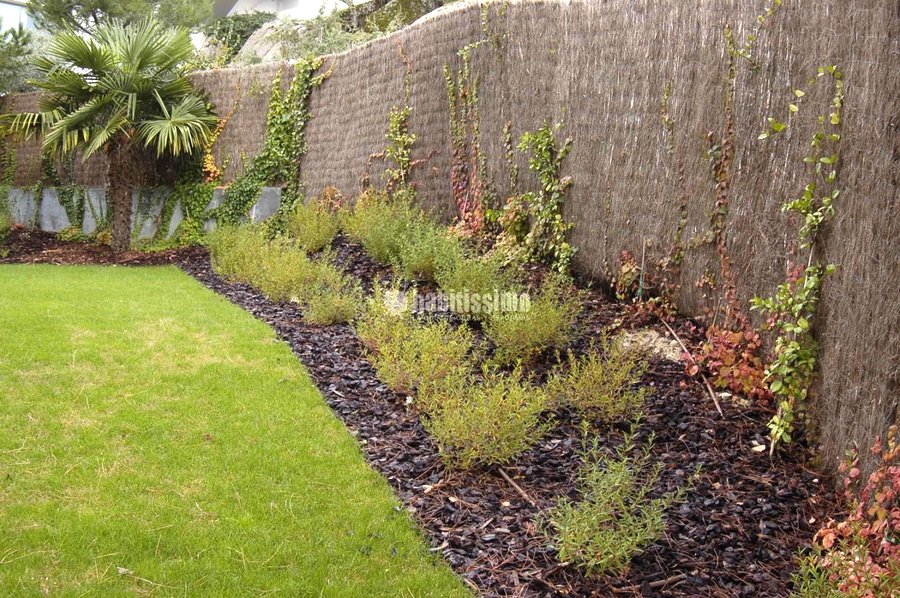 Paisajistas, Podas, Mantenimiento Jardines