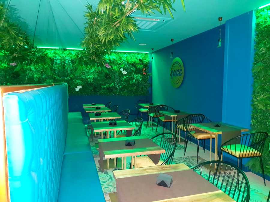 Restaurante. Plaza pilar