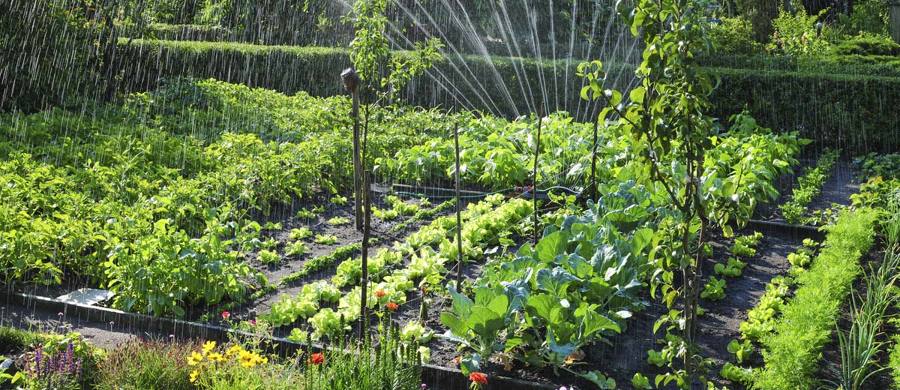Fresh Garden Jardinería en Torrelodones