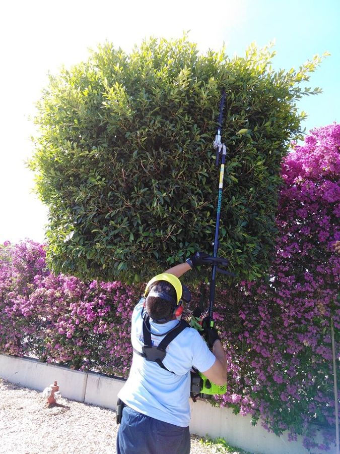 SERVICIO DE JARDINERIA