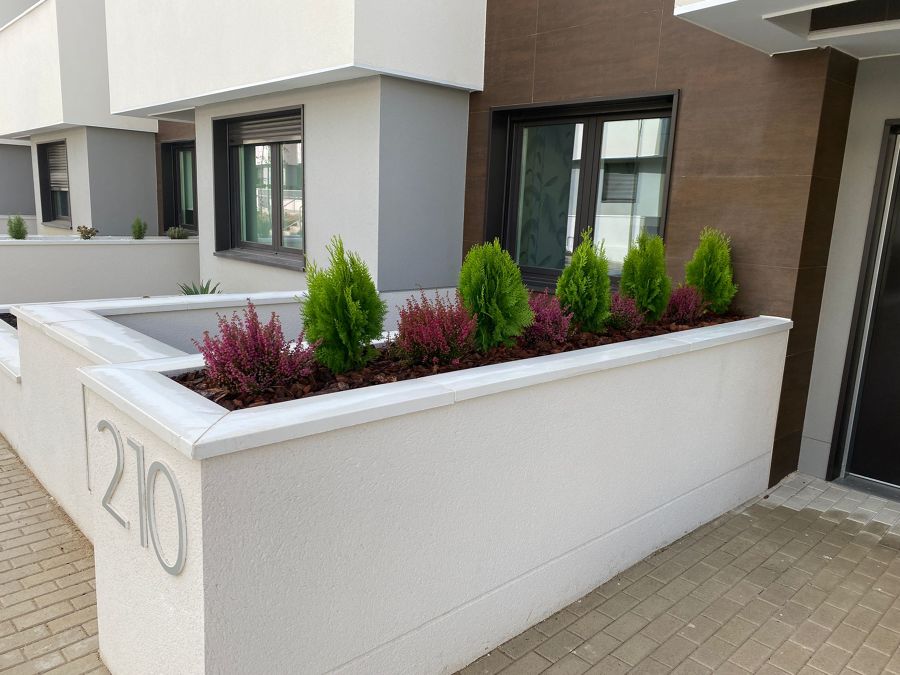 Diseño de jardinera con planta de poco mantenimiento