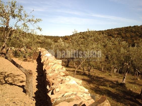 Construcción Casas, Rehabilitación Viviendas, Obra Nueva
