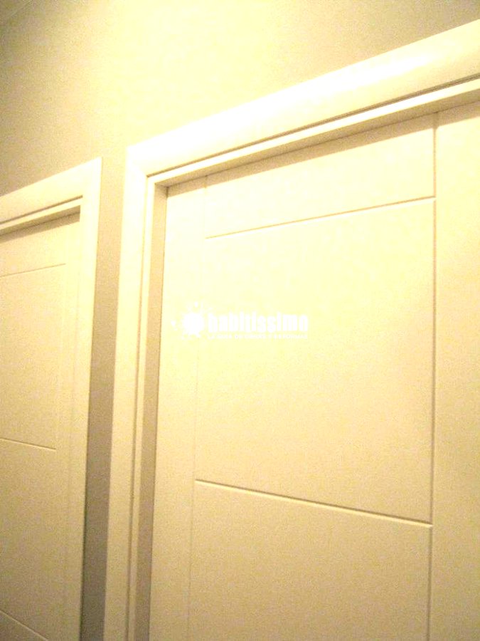 Pintores, Escayola, Tarimas