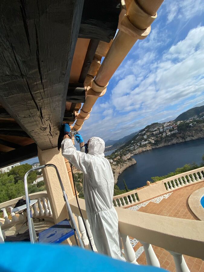 Control insectos madera