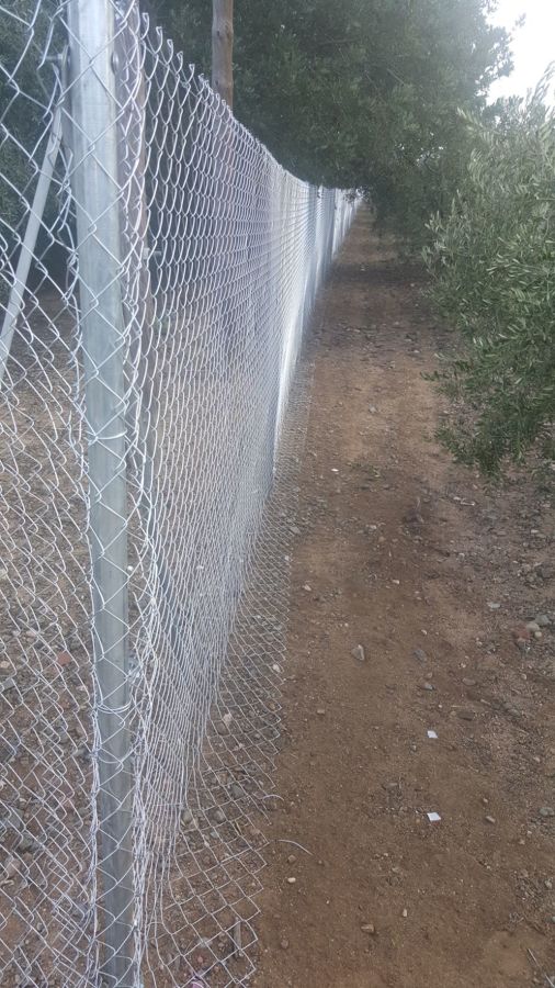 Malla Simple torsión