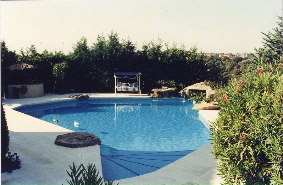 Piscina irregular con cascada natural