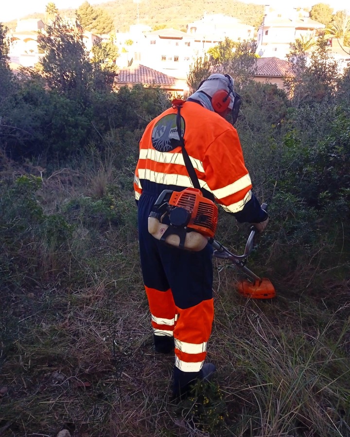 Desbroce del terreno