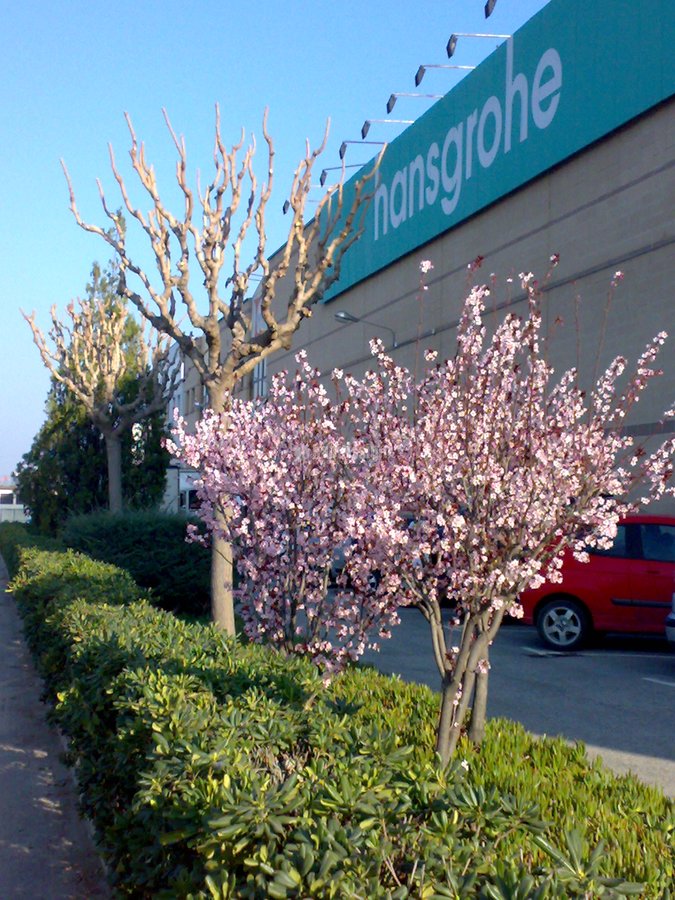 Jardineros, Disseny Jardins, Piscines