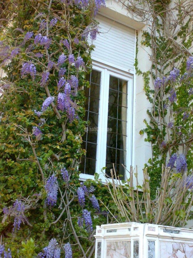Jardineros, Construcción, Piscinas